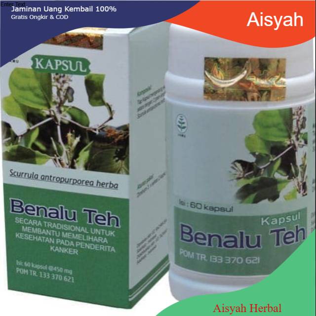 

Benalu teh . Herbal Kanker . Tumor . Benalu teh tazakka