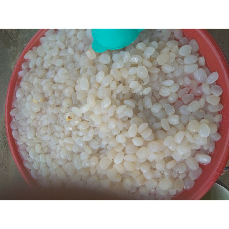 

kolangkaling/enau minimal 2 kilo
