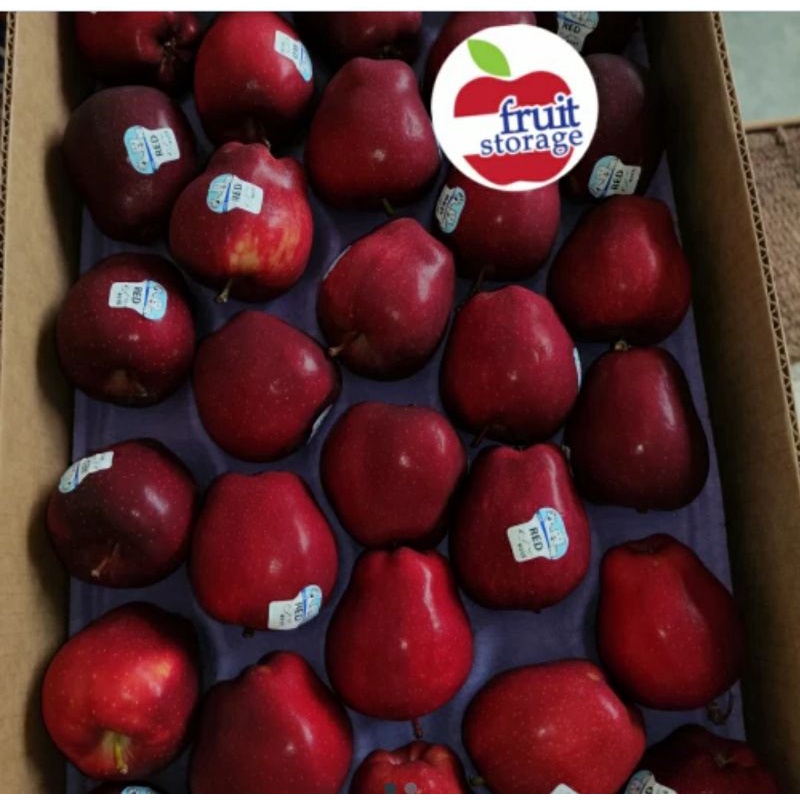 

Apel merah setiap hari fresh