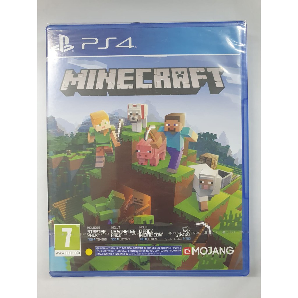 BD PS4 Minecraft Reg 2