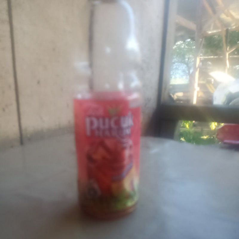 

pucuk