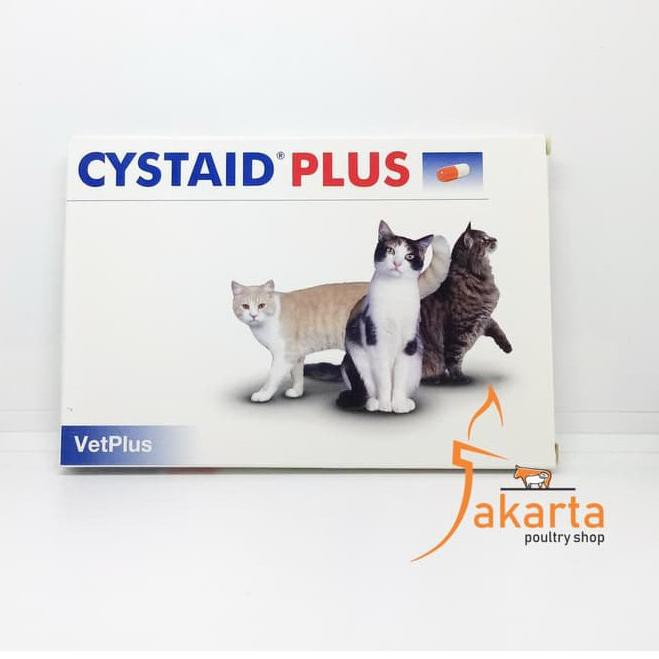 Harga Obat Kucing Flutd Terbaru November 2021 Biggo Indonesia