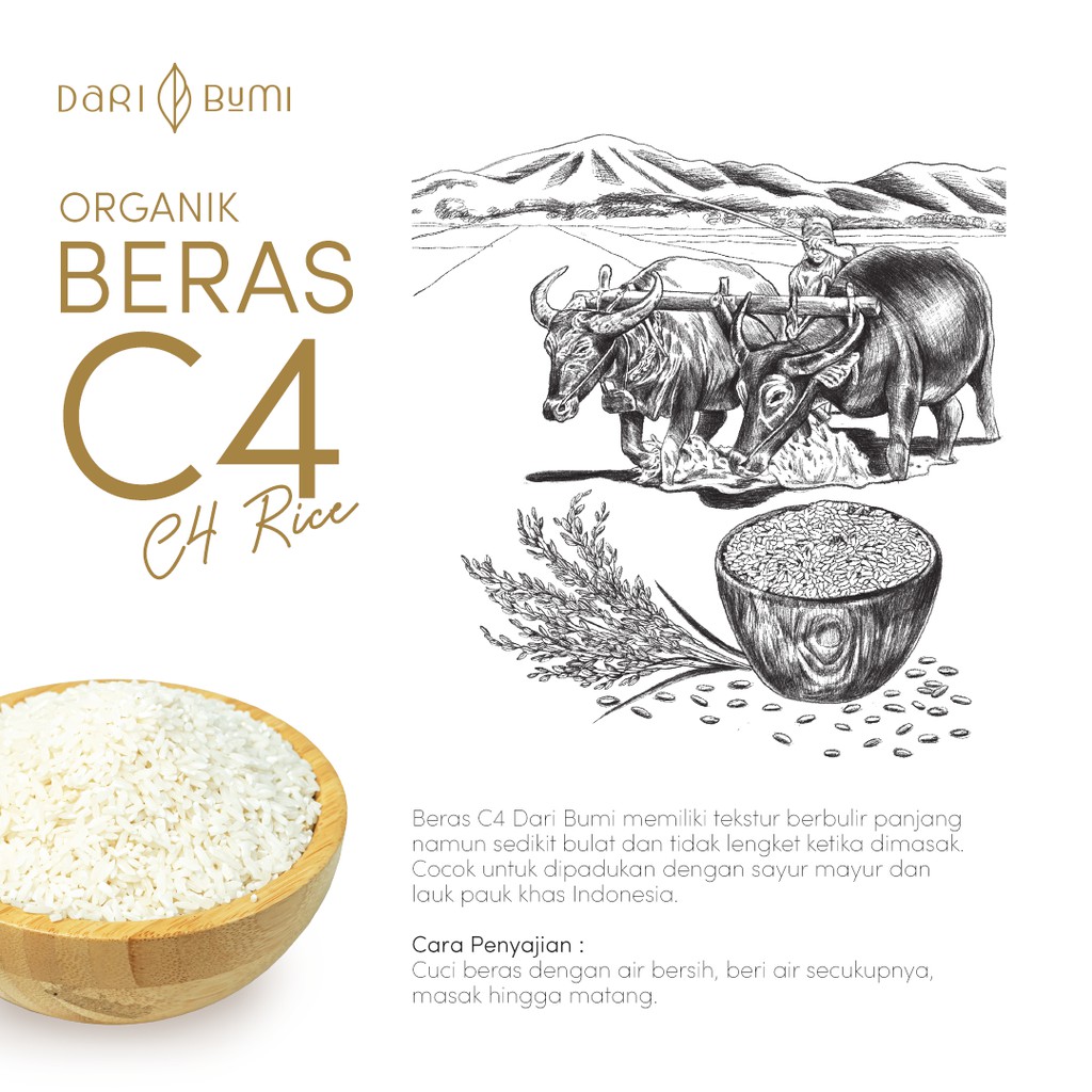 Beras C4 Organik 1 Kg daribumi Premium Pure Organic