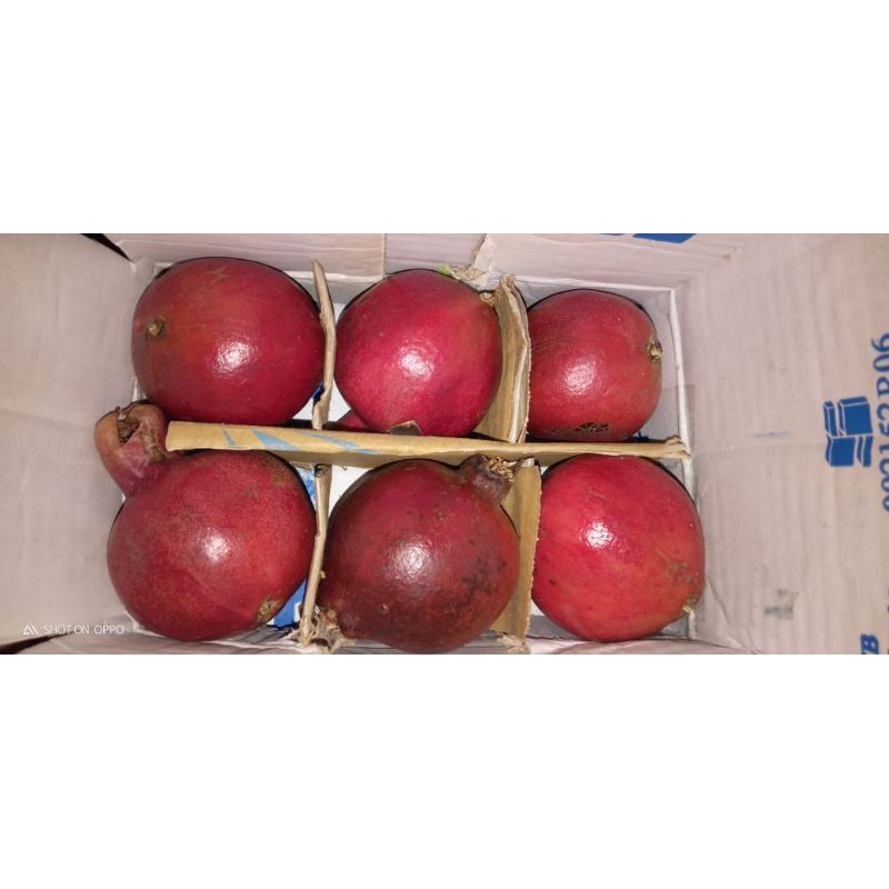 

Delima Merah Ukuran Jumbo Kemasan 1 Kg