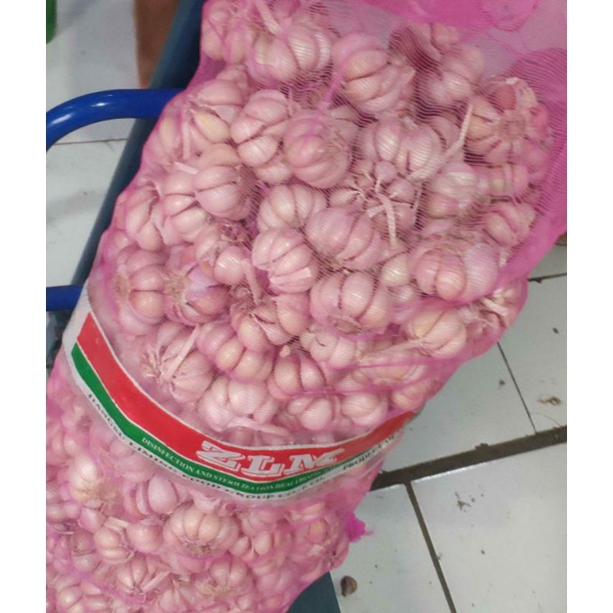 

BAWANG PUTIH 250GRAM 250GR 250 GR
