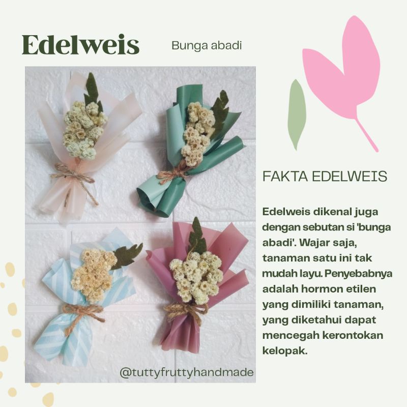 [Ready Stock] Buket mini edelweis kering