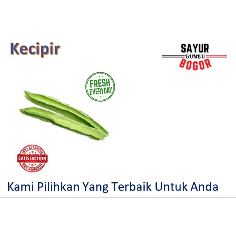 

Kecipir / Jaat / Kecipir Sayur