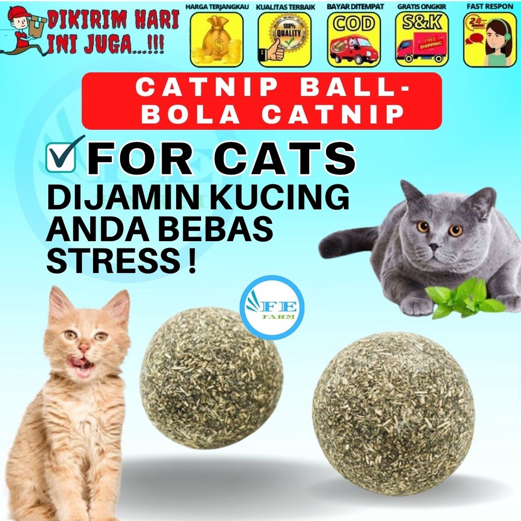 Catnip Kucing Anti Stress Catnip Ball Bola FEFARM