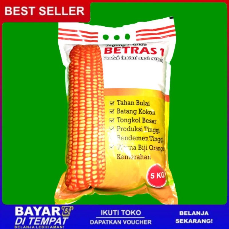 Benih Jagung Betras 1