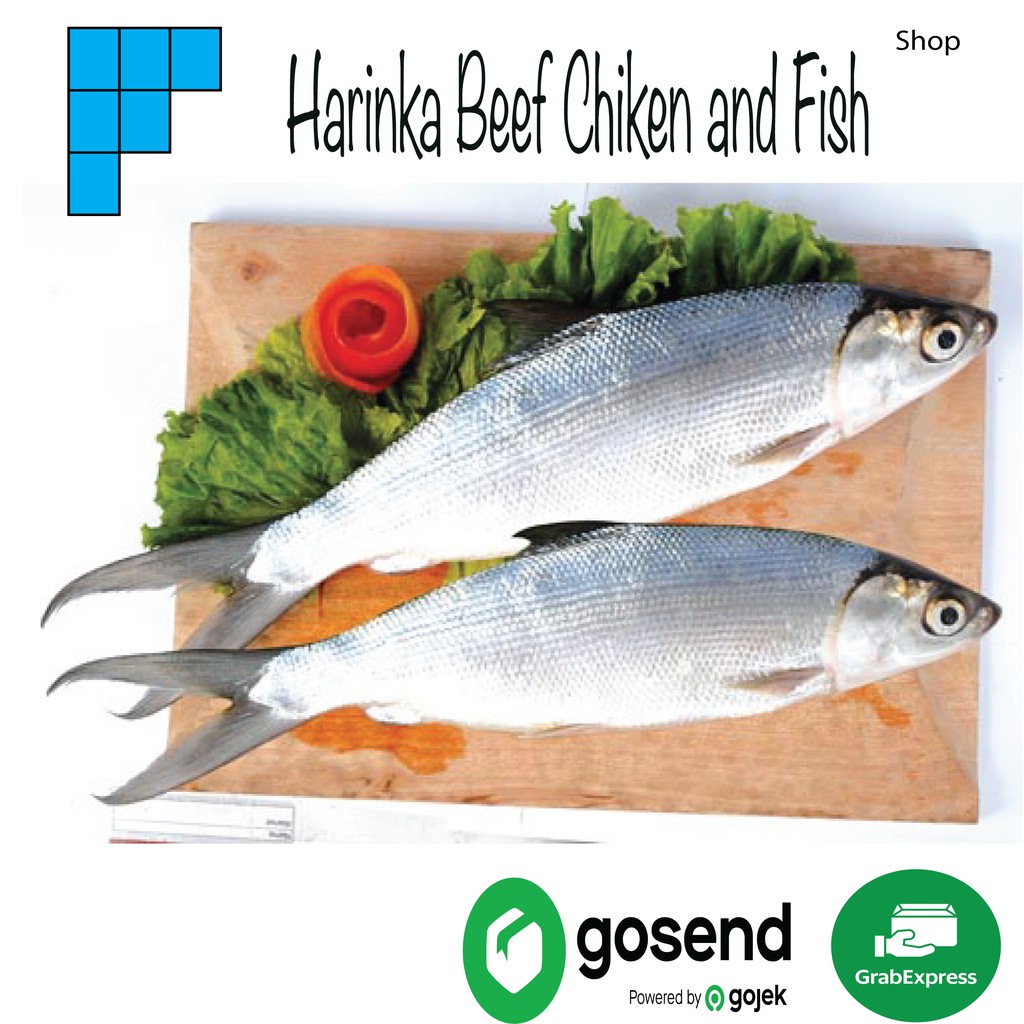 

Ikan Bandeng Segar