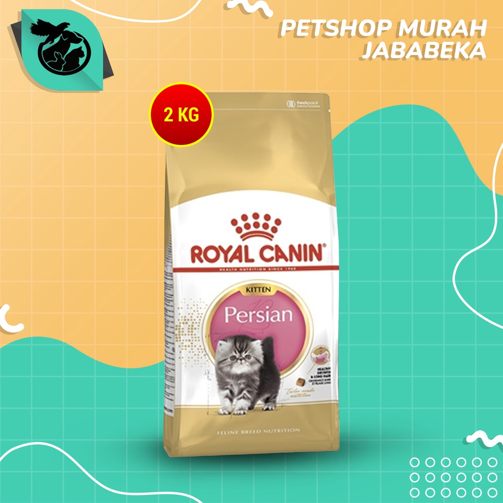 Makanan Kucing Persia Murah dan Sehat: Panduan Lengkap untuk Pemilik Kucing