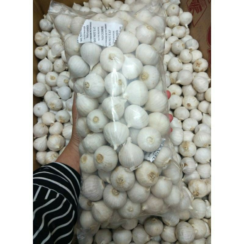

Bawang Putih Tunggal Lanang 1 KG Super Good Quality