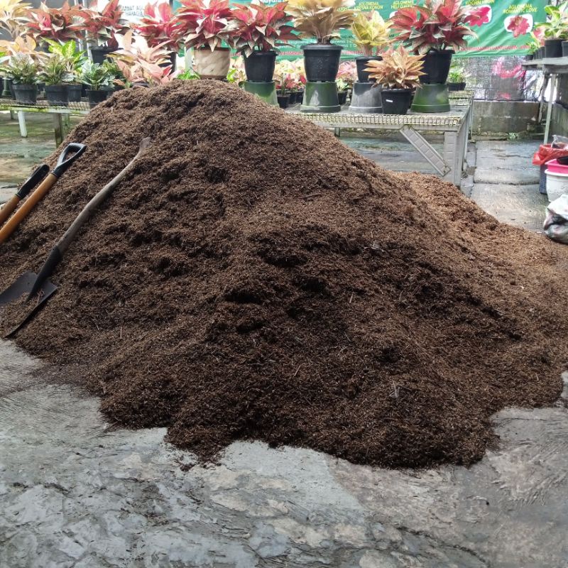 Media  Tanam Aglaonema Siap Pakai | MEDIA TANAM Aglow Kemasan 2Kg| Media Fermentasi | sekam Fermenta