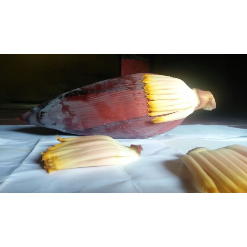 

JANTUNG PISANG