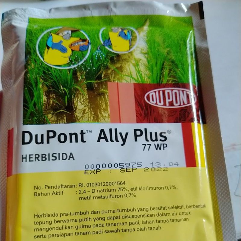 Dupont_AllyPlus