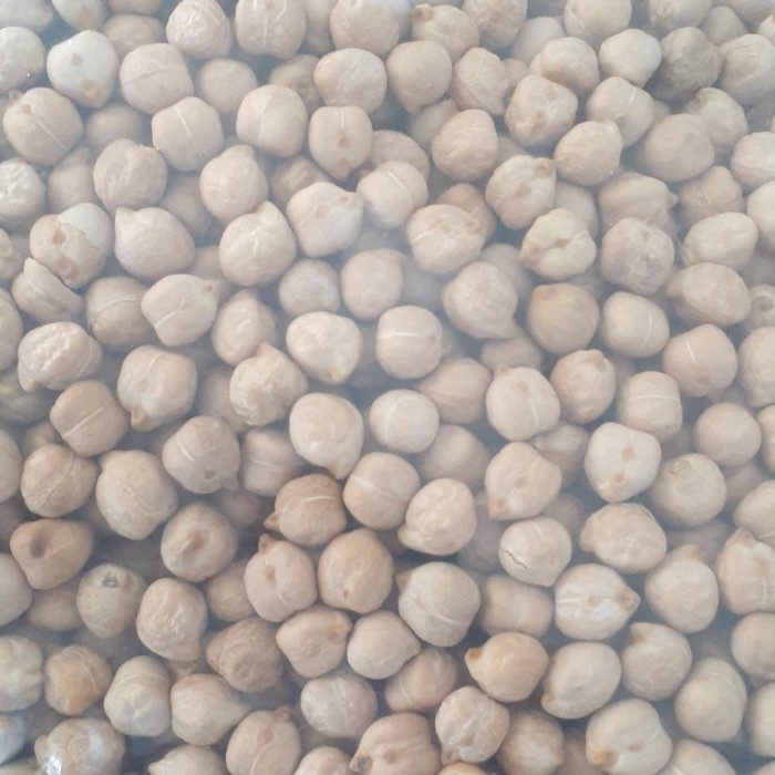 

Kacang Arab - Chickpeas 1 Kg/Kacang Arab Chickpeas