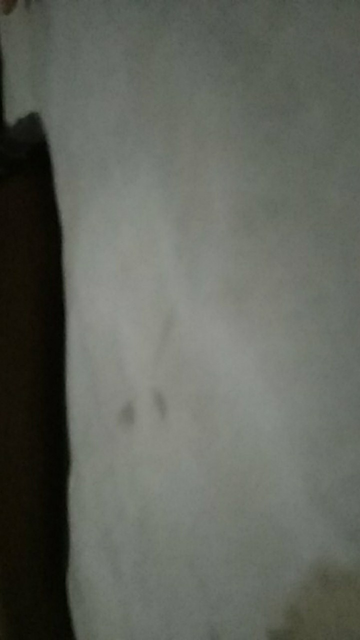 Tutup Cup Dome Lid - Tutup Gelas Plastik Cembung