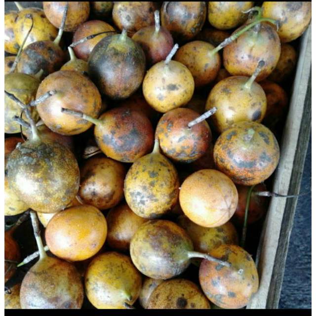 

Markisa Kualitas Pilihan Padang 12 sd13 pc dalam 1 kg