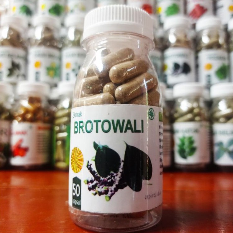 Kapsul Brotowali obat gatal kulit eksim alergi biduran herbal daun jamu suplemen kesehatan isi 50