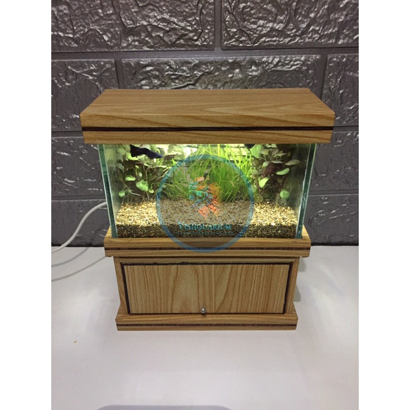 5400 Contoh Aquarium Ikan HD Terbaru
