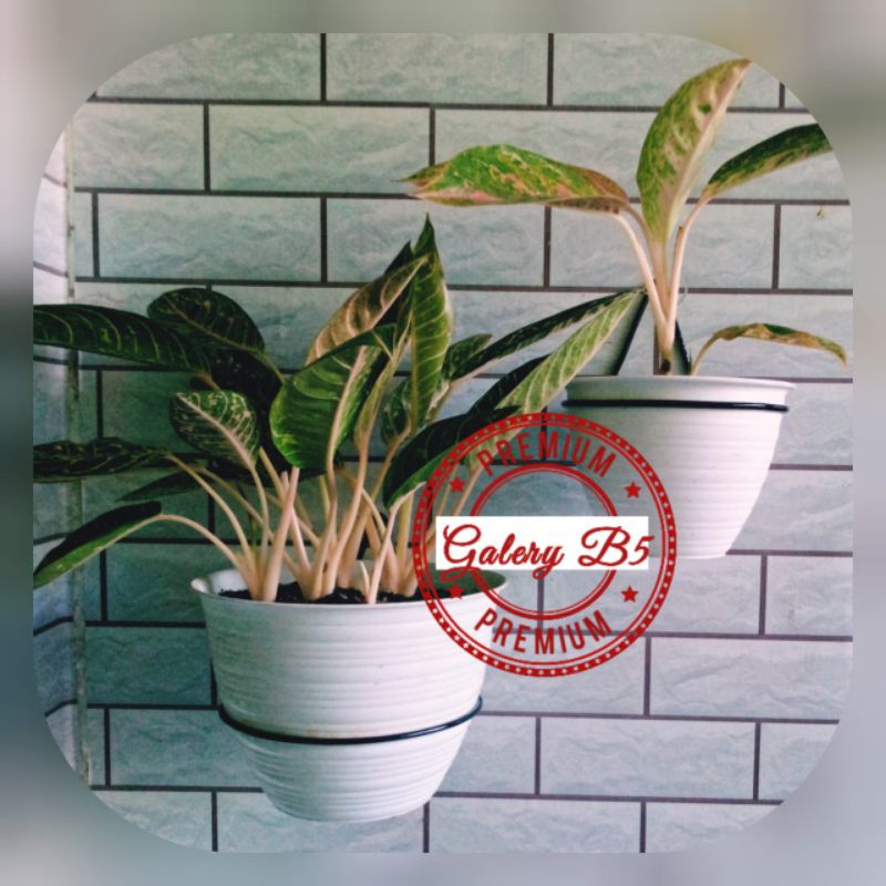 rak pot dinding Diameter 17-20cm/standing dinding/rak pot tempel dinding/rak bunga minimalis tempel 