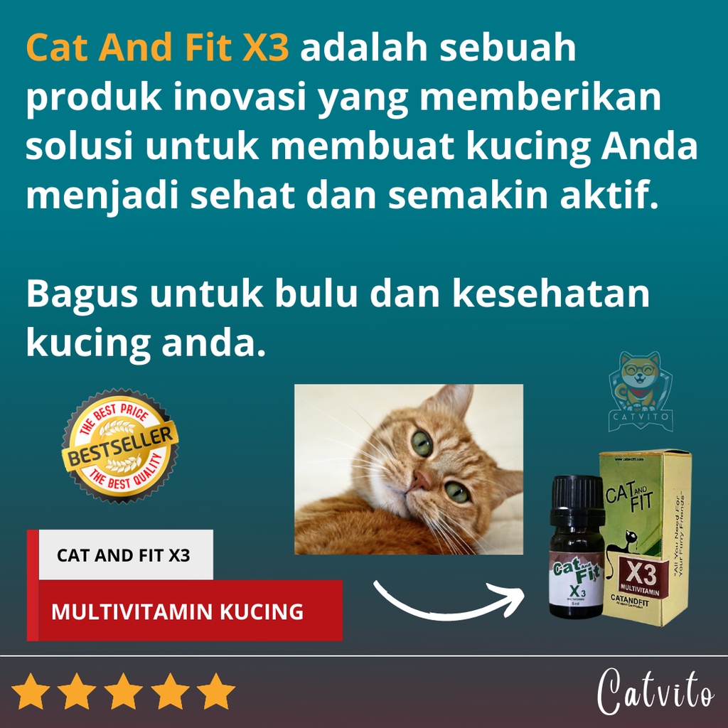 VITAMIN KUCING CAT AND FIT X3 UNTUK MENAMBAH NAFSU MAKAN MENJADIKAN KUCING GEMUK SEHAT BULU LEBAT