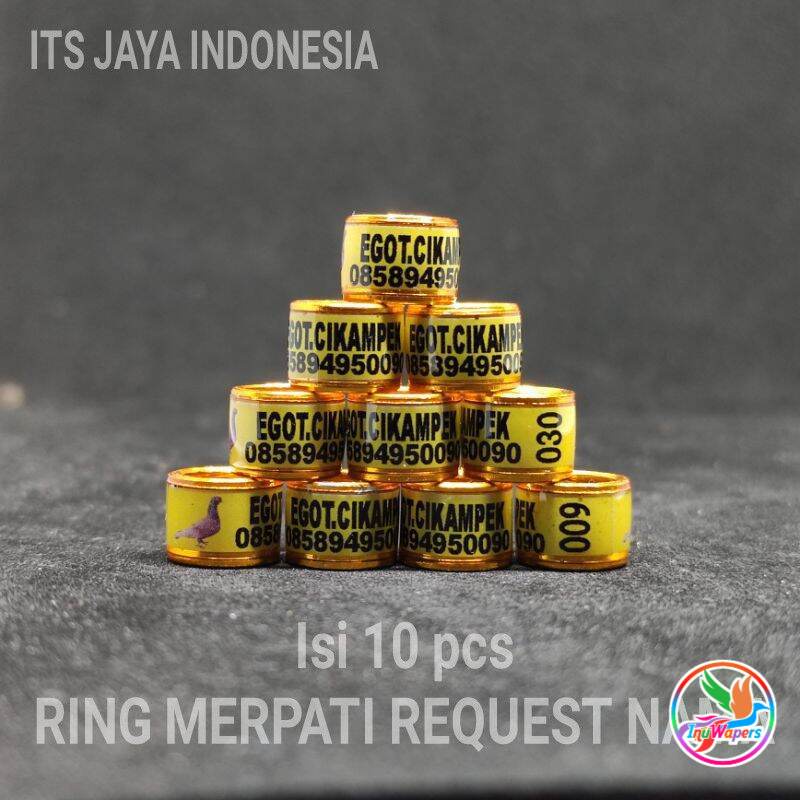 RING MERPATI CUSTOM NAMA  RING MERPATI REQUEST NAMA SENDIRI  RING MERPATI RODA STANDART KUNING