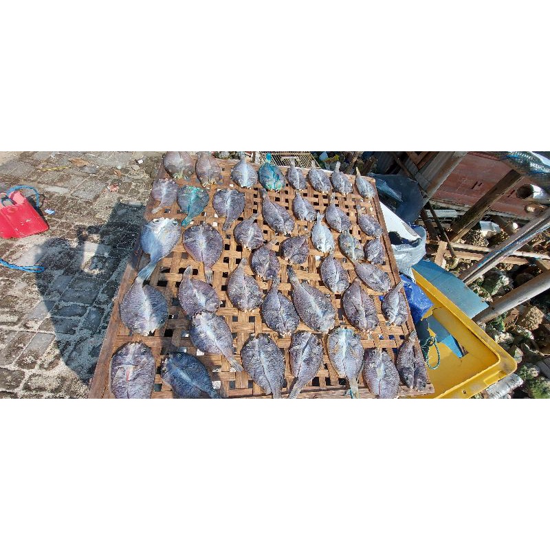 

ikan asin 1 kg