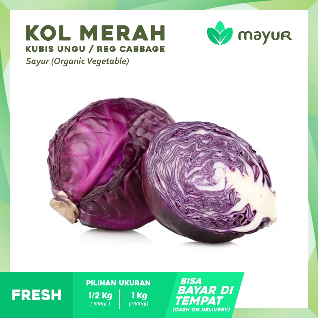 

Kol Merah / Kubis Ungu / Red Cabbage ( 500gr | 1000gr )