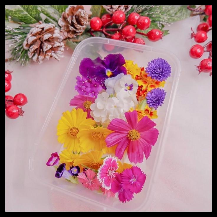 

TERBARUU!! Edible flower mixed (bymich) SALE