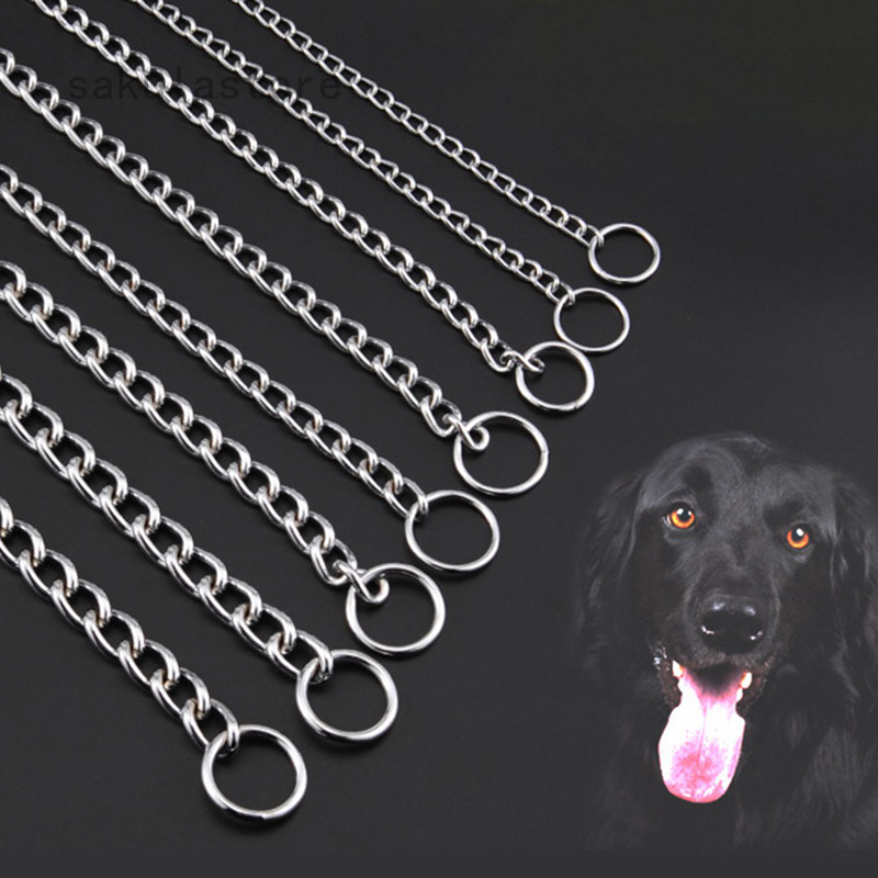 stainless dog collar