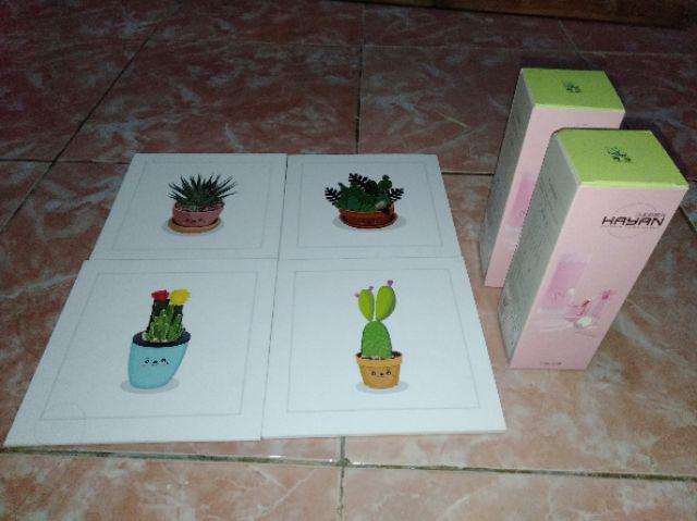 Craftpedia Hiasan Dinding Poster Tanaman 20x20 Cm - Grd