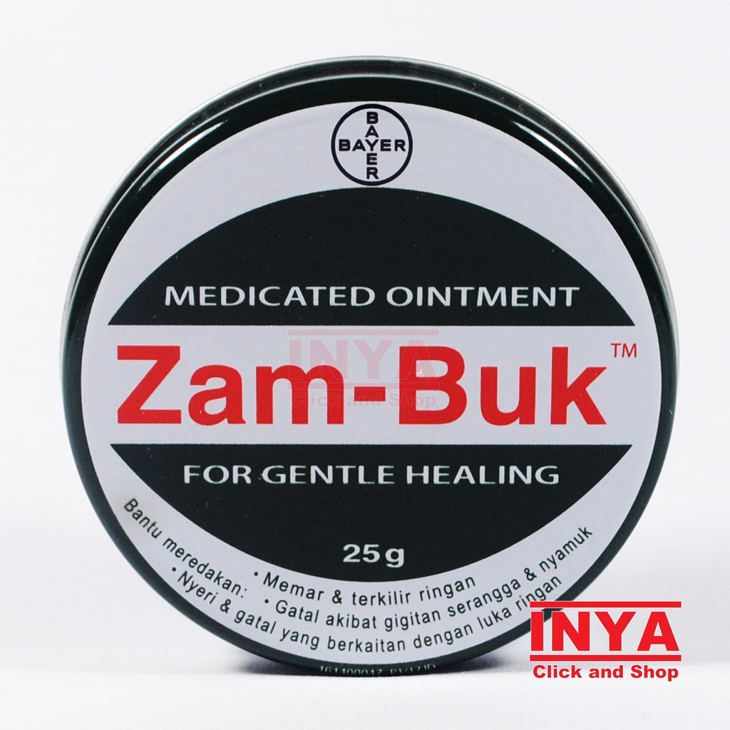 ZAMBUK MEDICATED OINTMENT FOR GENTLE HEALING 25gr - ZAM BUK BAYER