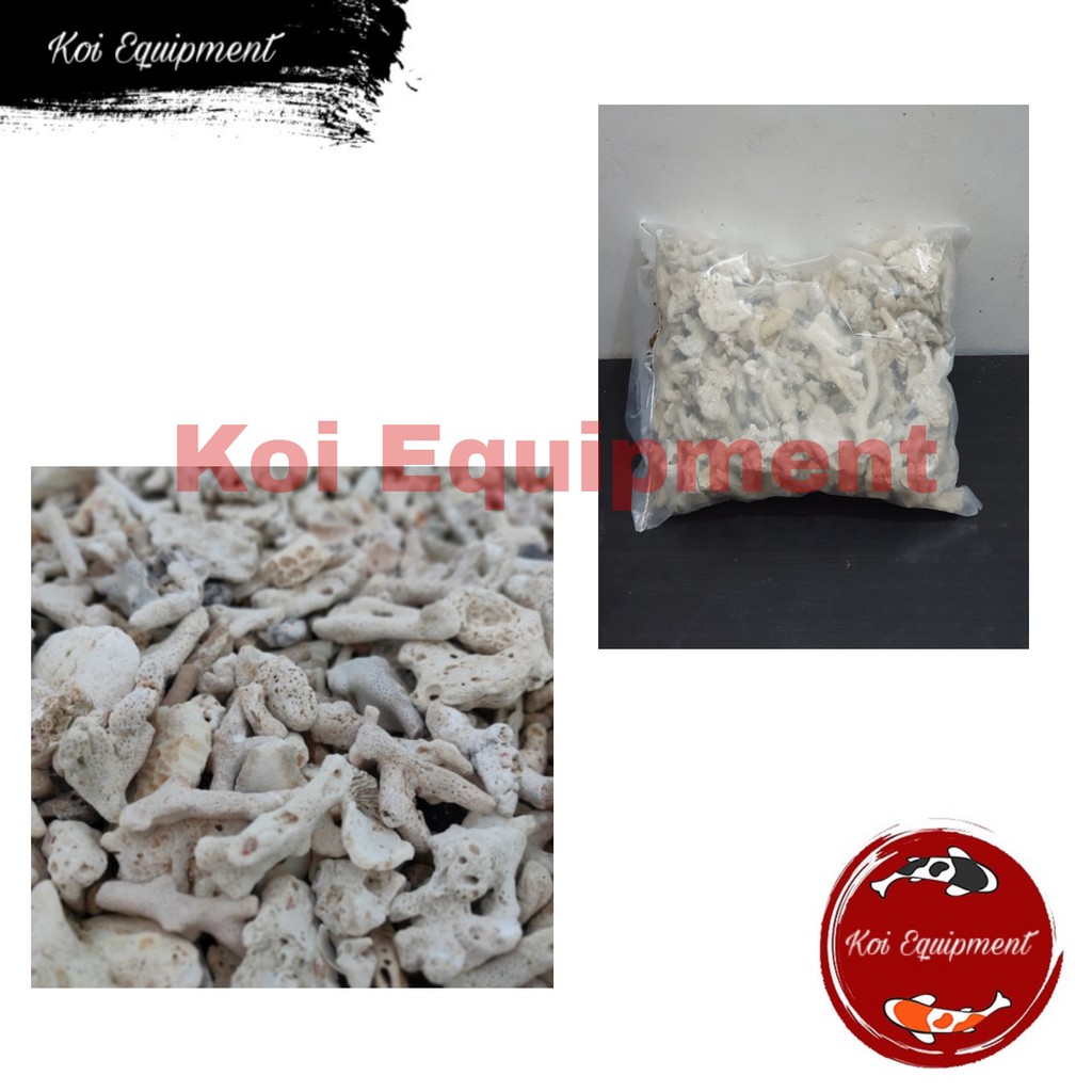 BATU KARANG JAHE BESAR 5KG MEDIA FILTER AQUASCAPE