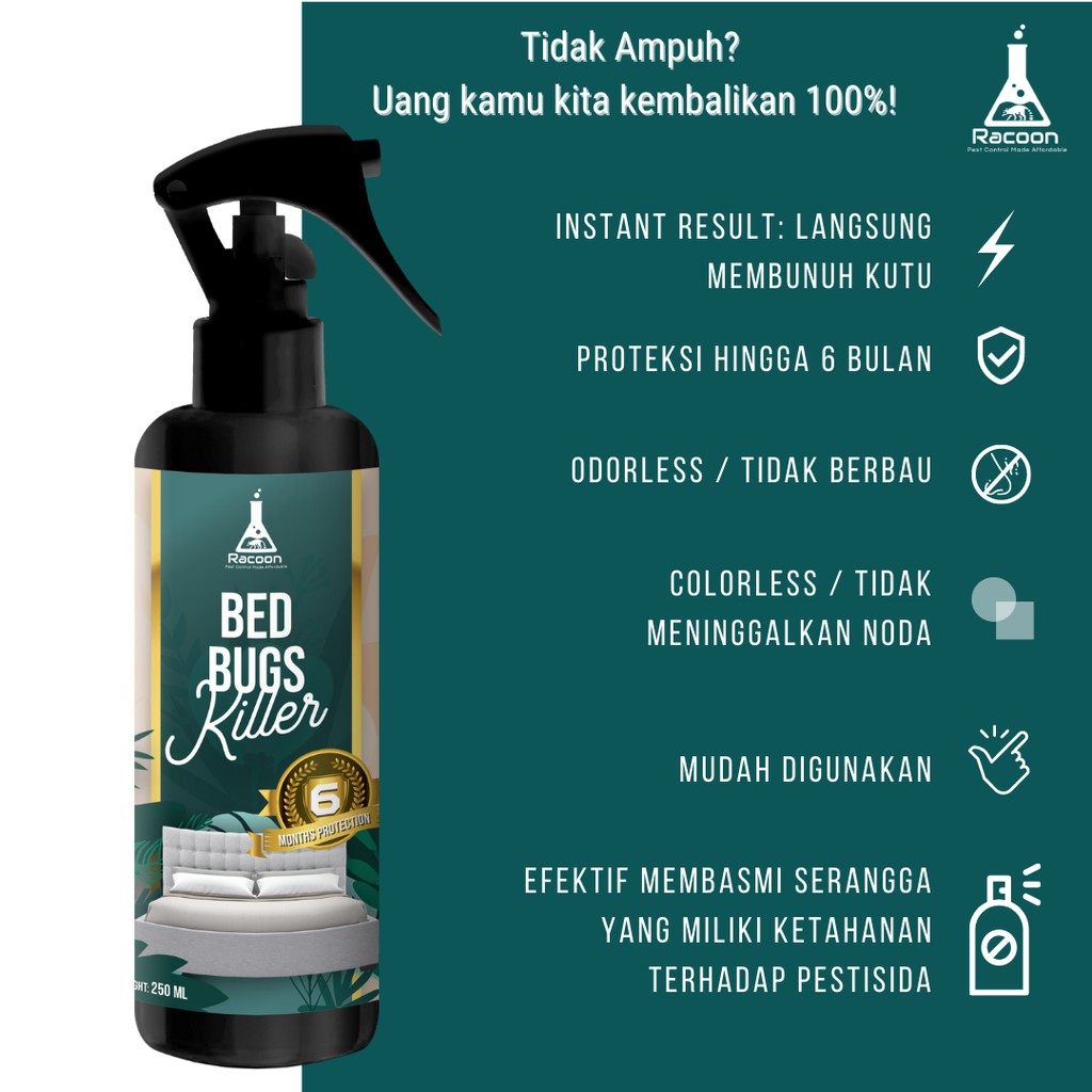 Obat Kutu Kasur Racoon Bed Bugs Killer / Tungau / Tahan 6 bulan 1x aplikasi kutu busuk