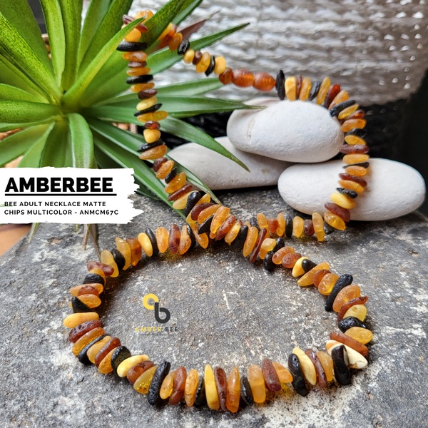 Kalung Amber Dewasa ORI Baltic Matte Chips ANMCM67C By Amber Bee