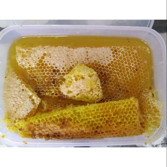 

Madu hutan lokal dengan sarang