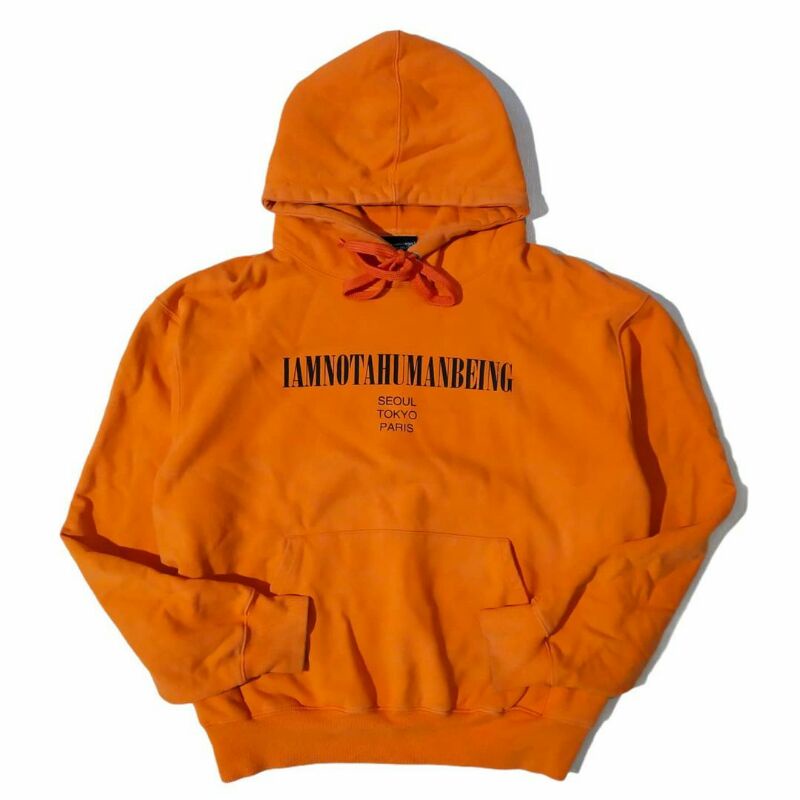 Pullover Hoodie I Am Not A Human Being Second