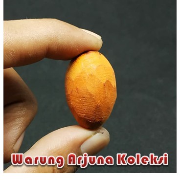 

Kayu Secang Merah