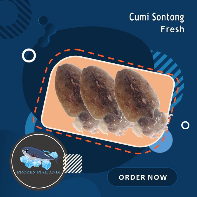 

Cumi Sontong fresh