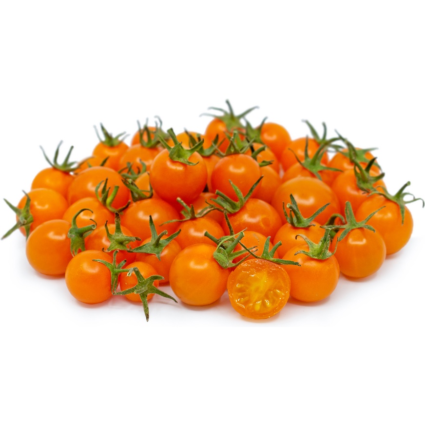 Benih Bibit Biji - Tomato Cherry Golden Amber Hibrida F1 Tomat Ceri Orange Seeds - Panen Dalam 90 Hari