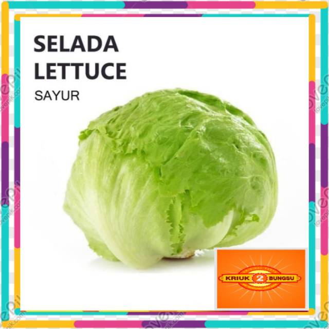 

Letuce