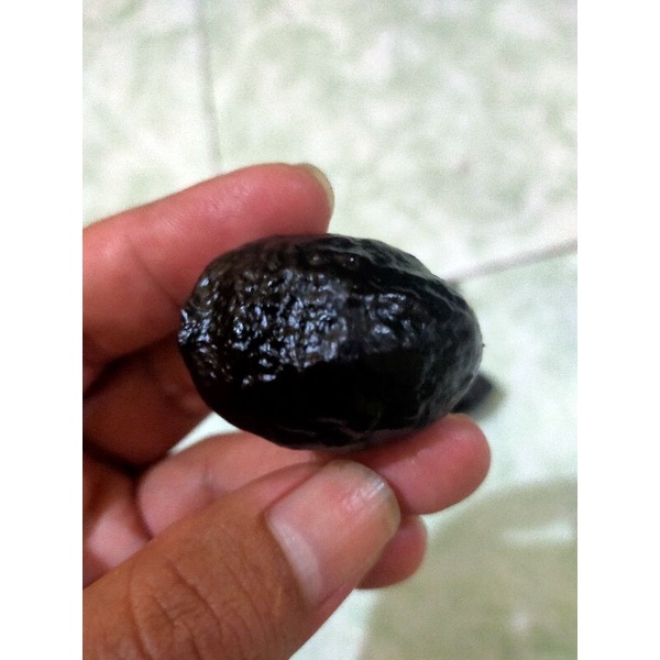 Muncang Jayanti Milenial Original 100%,Grade A