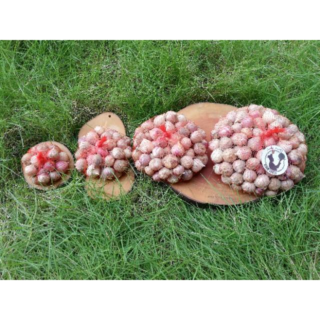 

Bawang Putih Tunggal | Bawang Lanang 0,1 - 0,5 kg