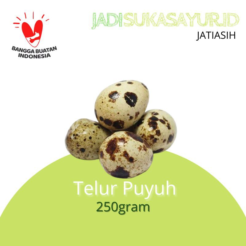 

Telur Puyuh Mentah 1 Pack / 250gram Berkualitas
