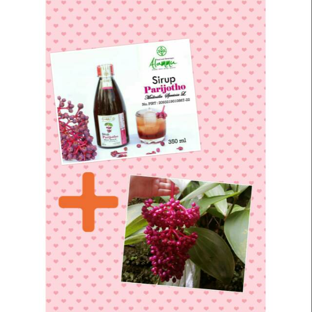 

COD - PROMIL SEHAT SIRUP PARIJOTO 350 ML PLUS BUAH PARIJOTO SETANGKAI / NUTRISI HAMIL