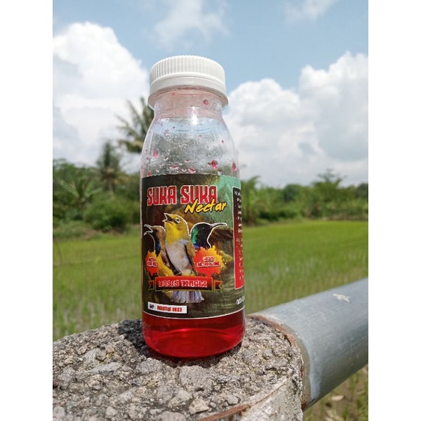 SUKA-SUKA NECTAR (RED/MERAH)