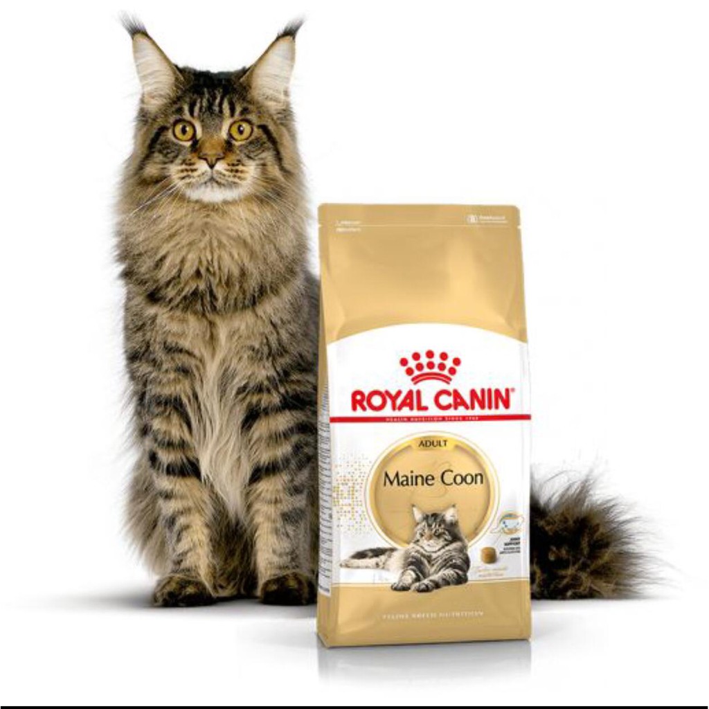 Royal Canin Adult Maine Coon 400gr Makanan Kering Kucing Dewasa
