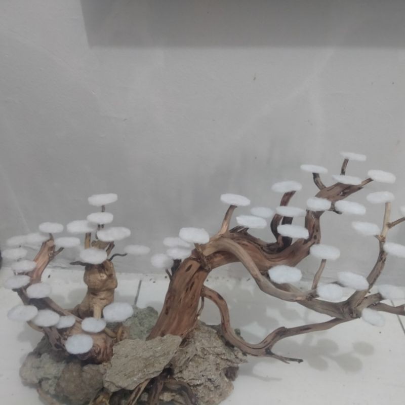 

bonsaiaquascape