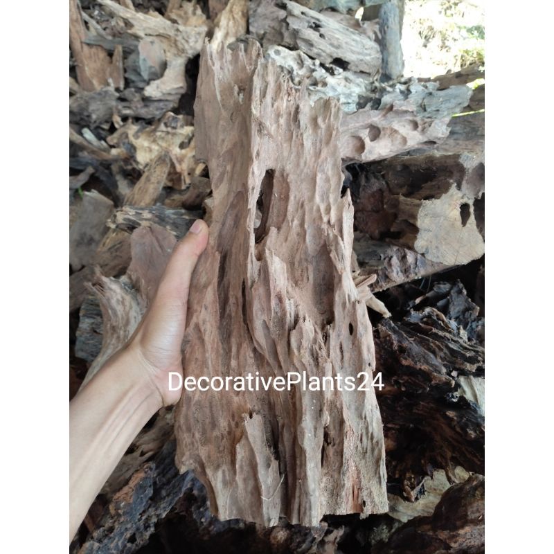 kayu RENTEK aquascape